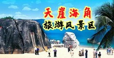 大鸡进去视频海南三亚-天崖海角旅游风景区