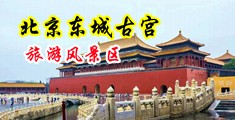 女人小穴被男人桶视频中国北京-东城古宫旅游风景区